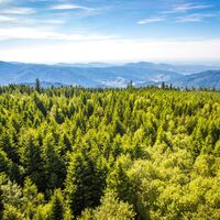 Ausblick vom Hohlohturm