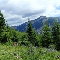 vorgänger Speckbacher Hütte eh. Platz