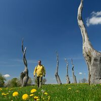 Skulpturen bei den Försterteichen im Staffpark in Lemgo