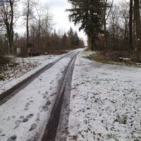 Linksabzweigung auf Weg "MD"