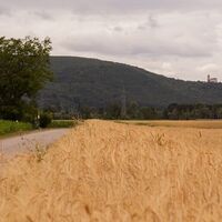 Unterwegs am Eurovelo9