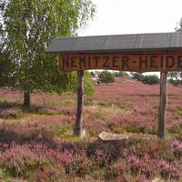 Nemitzer Heide