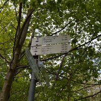 Dem Wegweiser an der Neusatzer Höhe folgen wir in Richtung Igelsbrunnenteich