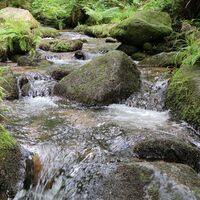 Nach Herrenalb folgen wir dem Alb