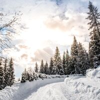 Winterwanderweg aufs Grießenkar