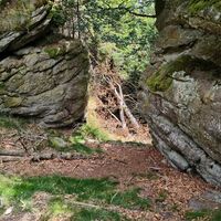 Öffnung zum anfangs steilen Abstiegweg Neuer Steig
