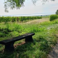 Bike Buddies Burgenland