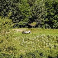 Rast inmitten des UNESCO Biosphärenparks Unteres Murtal