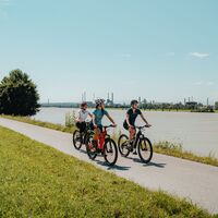 Radfahrerin an der Donau Linzer Riviera