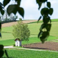 Zertbauer-Kreuz (Copyright: Karl Gradwohl)