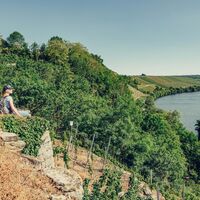 DSGVO NT Lauffen a N Katzenbei er Steillagen Blick auf Neckar Aussicht 06 web