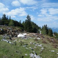 auf dem Weg von der Kohleralm zur Zwieselalm