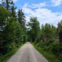 Rückweg über Forststraße / Jägerstraßl (aus Zeitgründen)