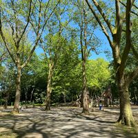 Spazierwege im Volkspark Rheinhausen