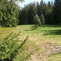 Von der Remptendorfer Bucht nach Isabellengrün