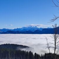 Dachsteinblick