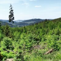 Weitblick