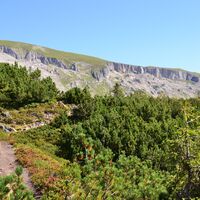 Durch Latschen und Heidelbeersträucher Richtung Schwarzwasserhütte