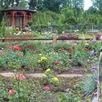 Europa-Rosarium Sangerhausen