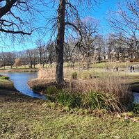Seen im Unteren Schlosspark