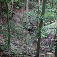 Bachschwinde in der Teufelsküche