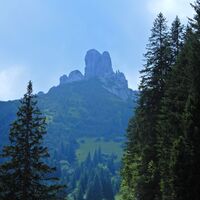 Planken - Feldkirch