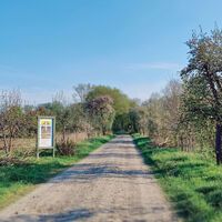 Frühling am Schöpfungsweg zwischen Ebstorf und Schwienau