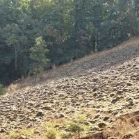 Steinmeer am Baier