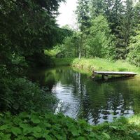 Fischteich bei der Hütte mit Forellen