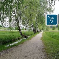 Feldweg am idyllischen Putterersee