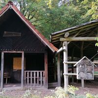 Käfer-Safari/ Forsthütte Hubertusbrunnen