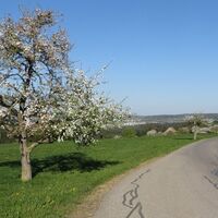 Einfahrt nach Sommenhardt