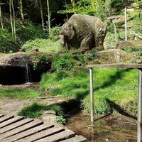 Wassertretbecken mit Bärenskulptur unterhalb des Naturdenkmals Bärenhöhle