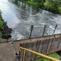 Nadelwehr Fahrenholz