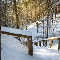 Winterliche Emsquelle in Schloß Holte-Stukenbrock