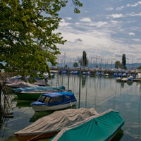 Bodenseeimpresionen