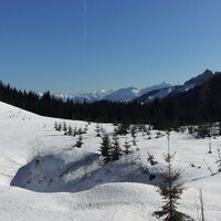 Schneeschuhtour - Schüttbauernalm (von Niglalm)