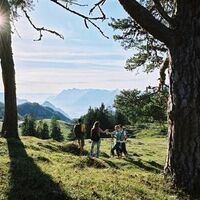 Almenplateau Holzalm Zimmermoos