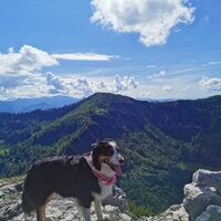 Blick zum Almkogel