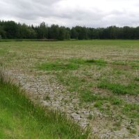 Im Teichgebiet der Wolche bei Krölpa