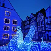 Lichterzauber in Hann. Münden, Schwan auf dem Wasserteppich