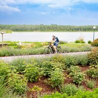 GARTENRADTOUR- Pappeltour