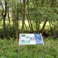Infotafel am Orkepfad