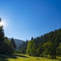 Tal bei Willingen