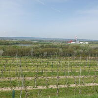 Ausblick