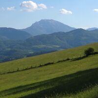 Übergang zum Frankenfelsberg,