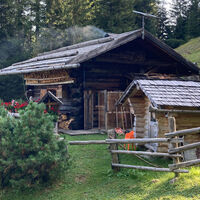 Alpe Lusia - Sentiero Natura - Valbona - Colvere - ©Archivio S.i.f. Impianti Funiviari Lusia S.p.a.