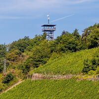 Blick auf den Prinzenkopfturm bei Zell