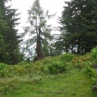 Naturschutzgebiet Tennengebirge