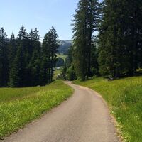 Asphalt oder ...